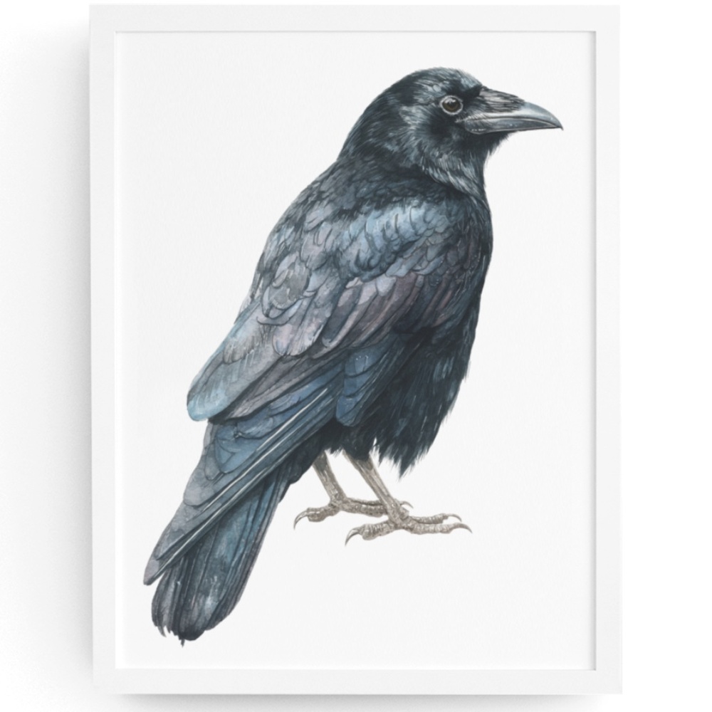 Watercolor Black Crow Wall Art Print Unframed - Black Bird Illustration Artwork